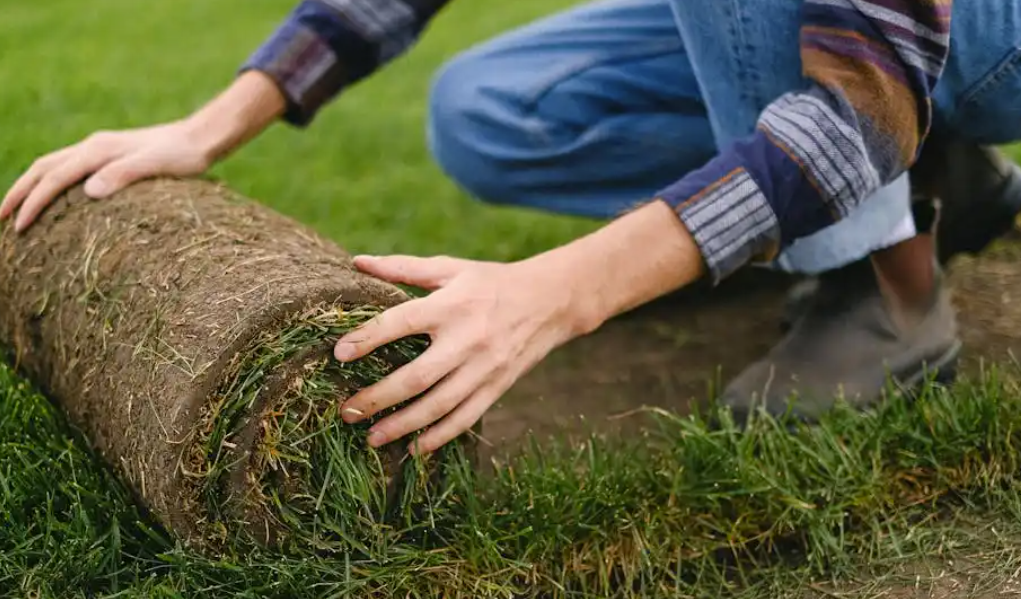 turflibre || turf libre || turflibre turf